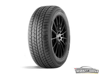 Double Star DW09 235/50 R19 99H