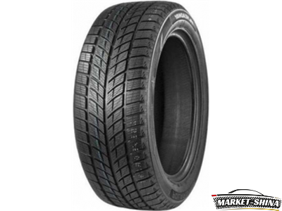 Double Star DW09 255/50 R19 107T