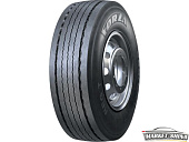 Forza REG T